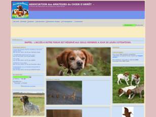 Association des Amateurs du Chien d'Arret Chasse