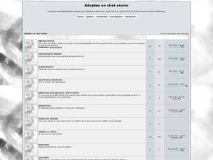 créer un forum : Adoptez un chat sénior