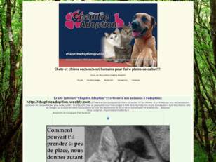 Adoptions en Bourgogne