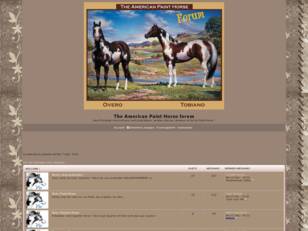 The American Paint Horse forum