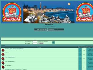 Forumactif.com : AMIGOLD