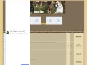 Forum gratuit : Amis-des-chiens