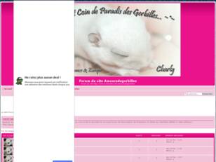 Forum du site Amoursdegerbilles