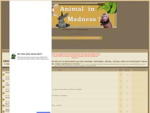 Animal in madness - Animaux en folie