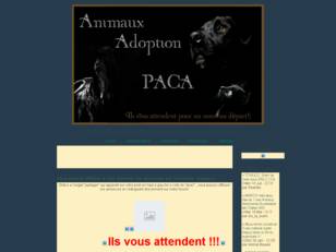 Animaux Adoption PACA