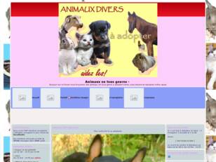 Animaux en tous genres a adopter! aidez les