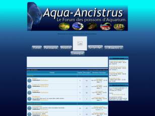 Aqua-Ancistrus