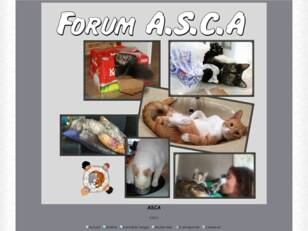 Forum A.S.C.A