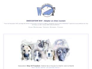 Forum Association WOF : adopter un chien roumain