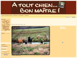 A Tout Chien... Bon maitre !