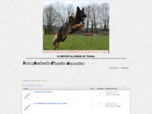 LE BERGER ALLEMAND DE TRAVAIL. UN CHIEN PLURI-DISCIPLINAIRE.