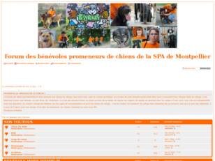 Forum des benevoles de la SPA de Montpellier