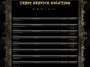 TEAM SERVICE SOLUTION