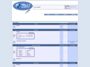 Forum Bilgiweb, Bilgi Web