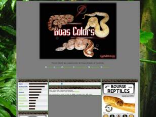 BOAS COLORS