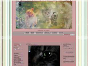 Bonheur de Chats. Site informatif