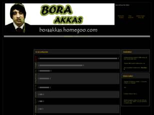 Bora Akkas