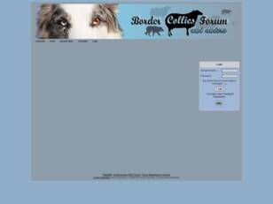 Border Collies und Hunde Forum