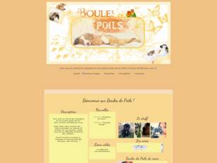 Petites Boules De Poils