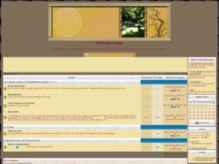 Forum gratis : burraco roma