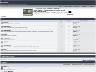 creer un forum : les cailles