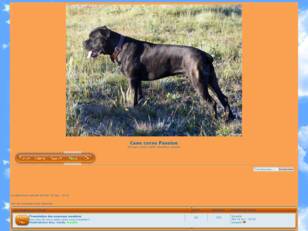 Forum Cane Corso Passion