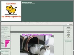 Association les chats vagabonds