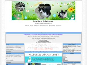 Chats Libres de Colomiers