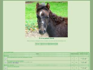Forum cheval : Et si on parlait Cheval Forum chevaux Forum equitation
