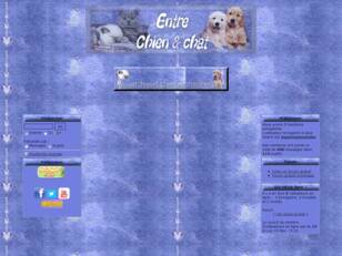 creer un forum : entre chiens et chats