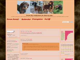 Forumactif.com :  Forum des conducteurs de chien de sang