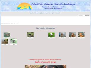 Collectif des chiens de Guadeloupe