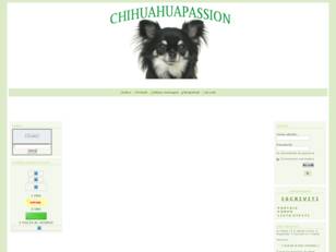 Forum gratis : CHIHUAHUAPASSION - FORUM CHIHUAHUA