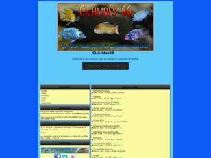 Cichlides66