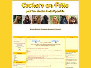 Cocker-en-folie