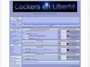 cockers-en-liberté