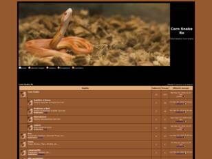 Forum gratuit : Corn Snake Ro