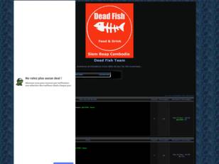Dead Fish Team