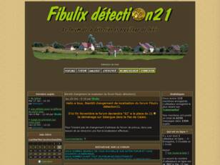 Détection de loisir : FIBULIX DETECTION 21