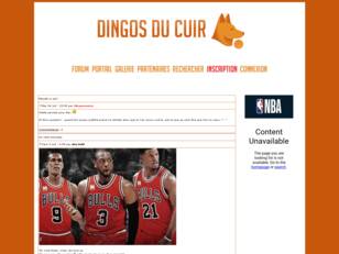 NBA-Dingos