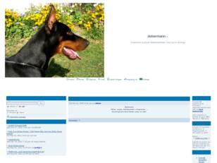 dobermann