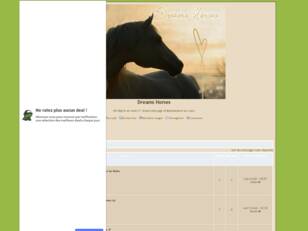 Forum gratis : Dreams Horses