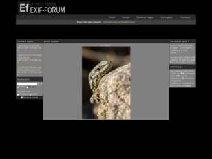 Exif-forum