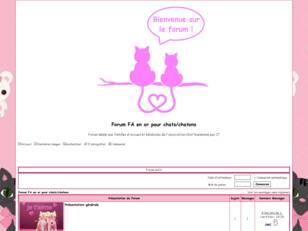 Forum FA en or pour chats/chatons