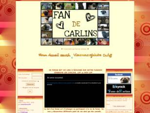 Fan de Carlins