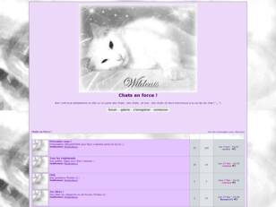 creer un forum : Chats en force !