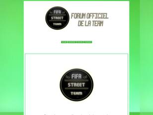 Fifa Street Team