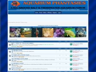 Aquarium Phantasies