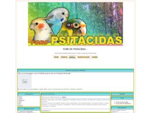 Foro gratis : FORO DE PSITACIDAS