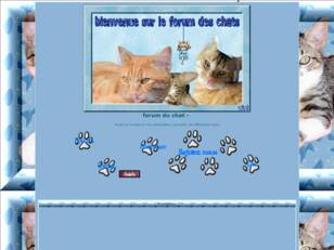 forum du chat